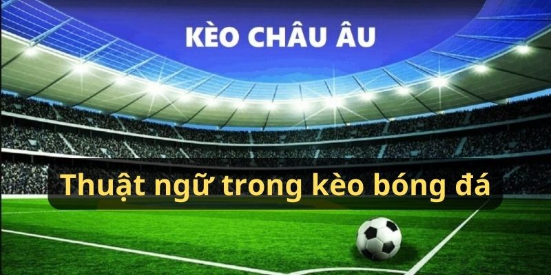 Thuật ngữ trong kèo bóng đá Châu Âu